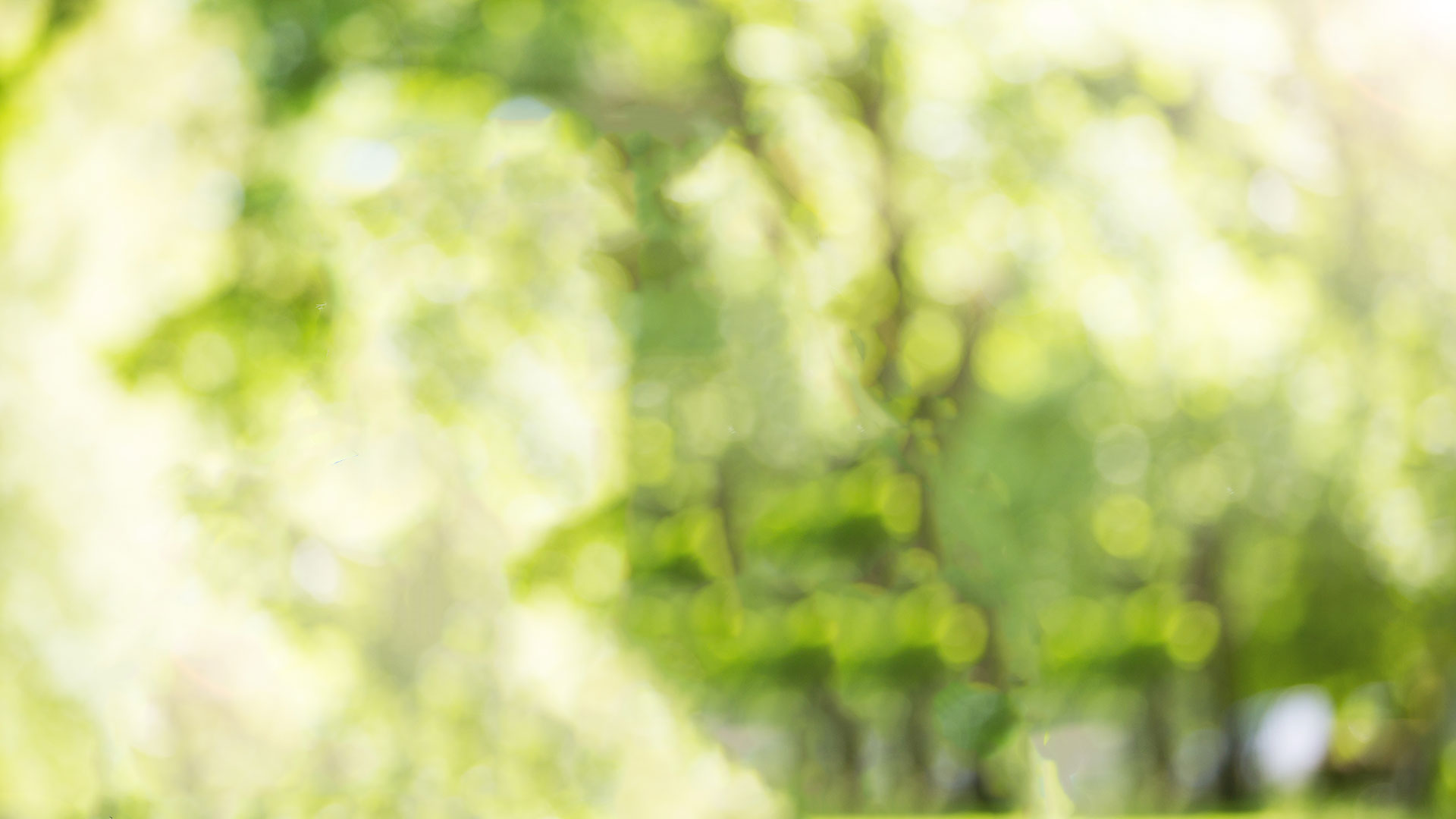 What You Don't Know About Memory Care Omaha