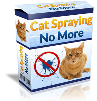Preventive Measures For Pet Owners