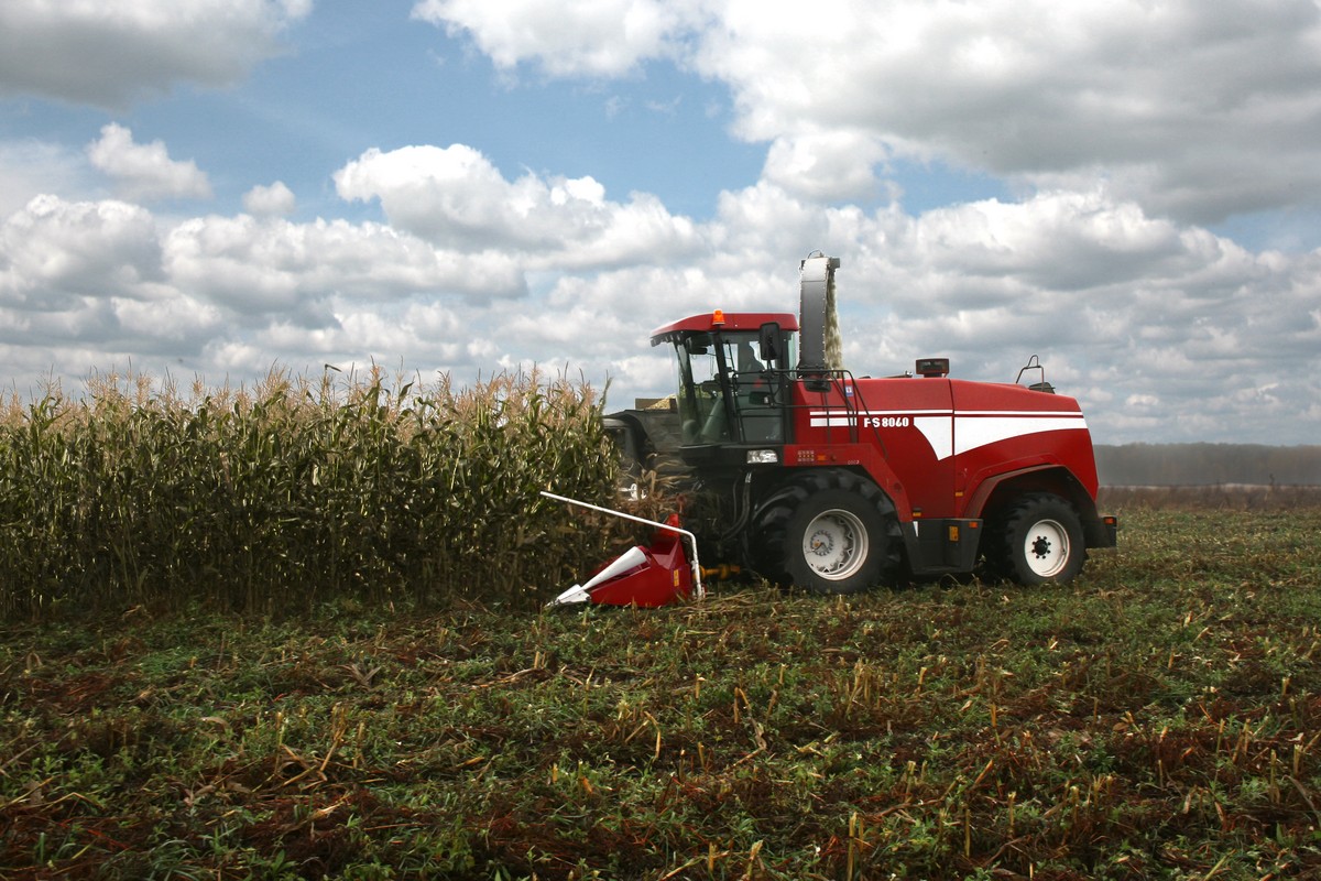 Cows can give healthy milk they need good Silage - Gomselmash