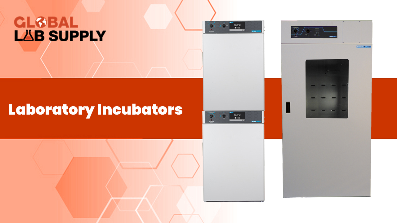 How to maintain and use a laboratory incubator