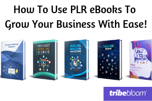 How to use PLR eBooks to Grow Your Business with Ease!