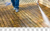 Best Carpet cleaning Westchester NY