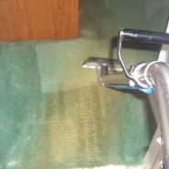 professional carpet cleaning in Westchester NY