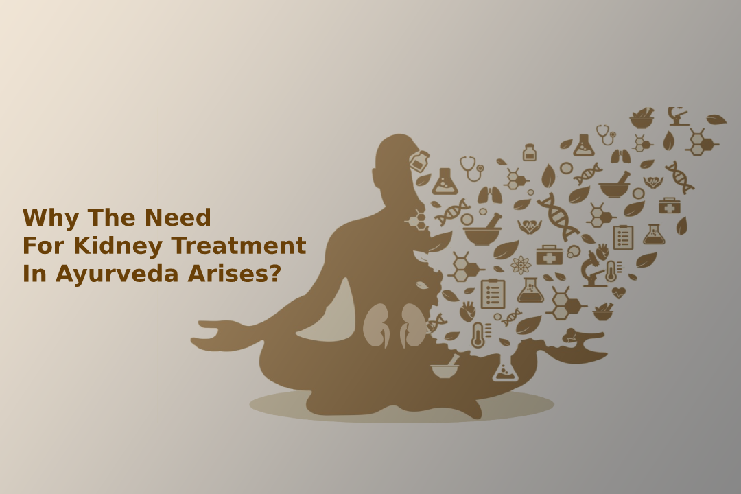 Why The Need For Kidney Treatment In Ayurveda Arises?