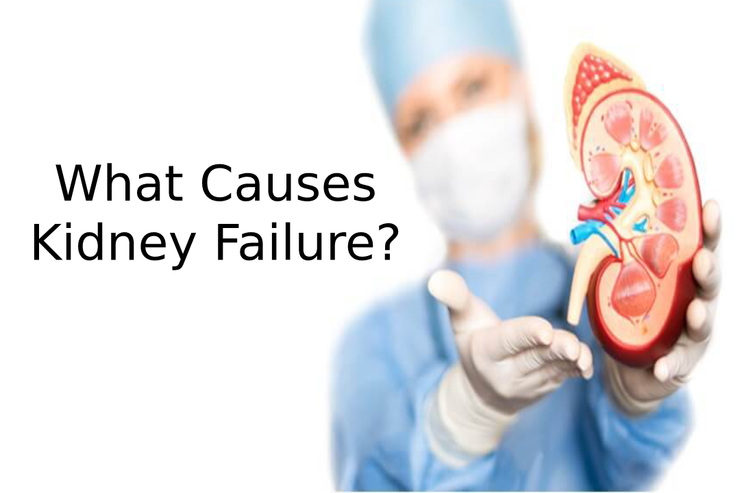 What causes kidney failure?