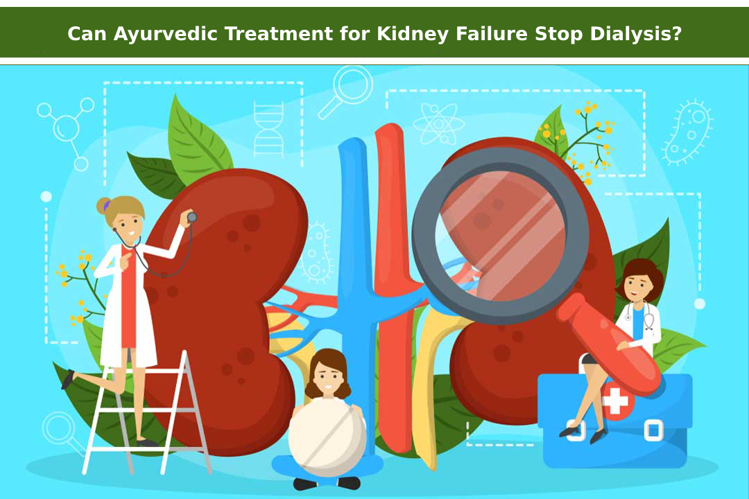 Can Ayurvedic Treatment for Kidney Failure Stop Dialysis?