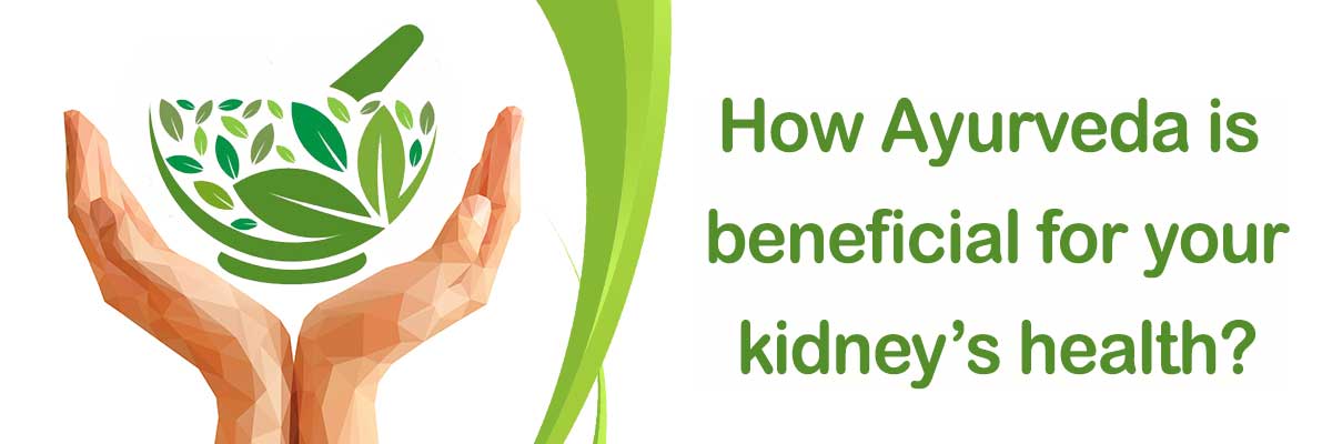How Ayurveda Is Beneficial For Your Kidney’s Health?
