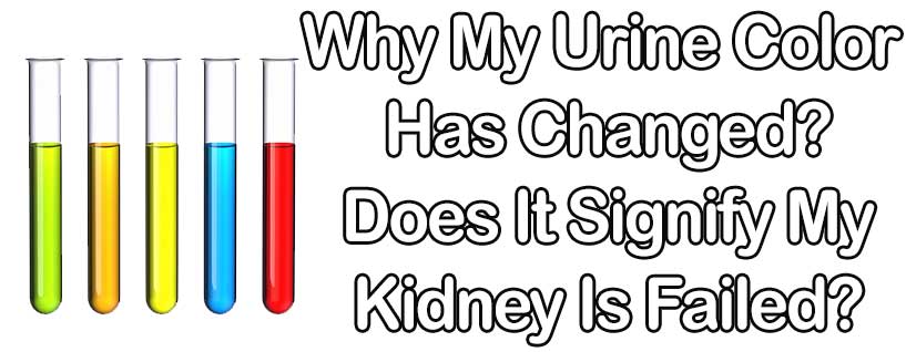 Why My Urine Color Has Changed? Does It Signify My Kidney Is Failed?