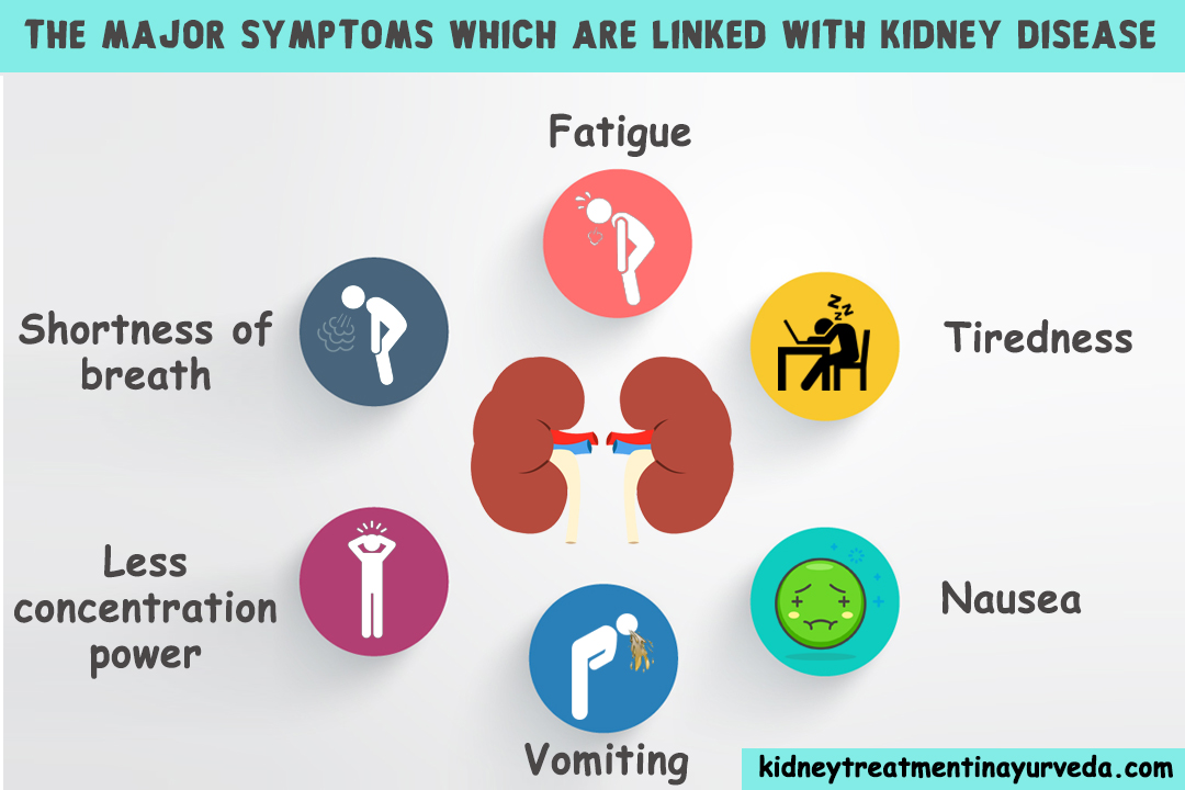 Preventing Kidney Disease with Ayurvedic Medicine for Kidney Problems