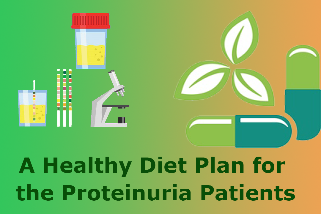 A Healthy Diet Plan for the Proteinuria Patients