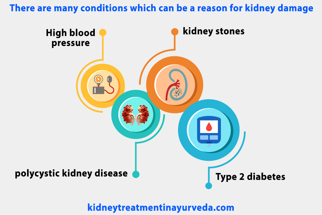 Why Individuals Prefer Taking Kidney Failure Treatment In Ayurveda?