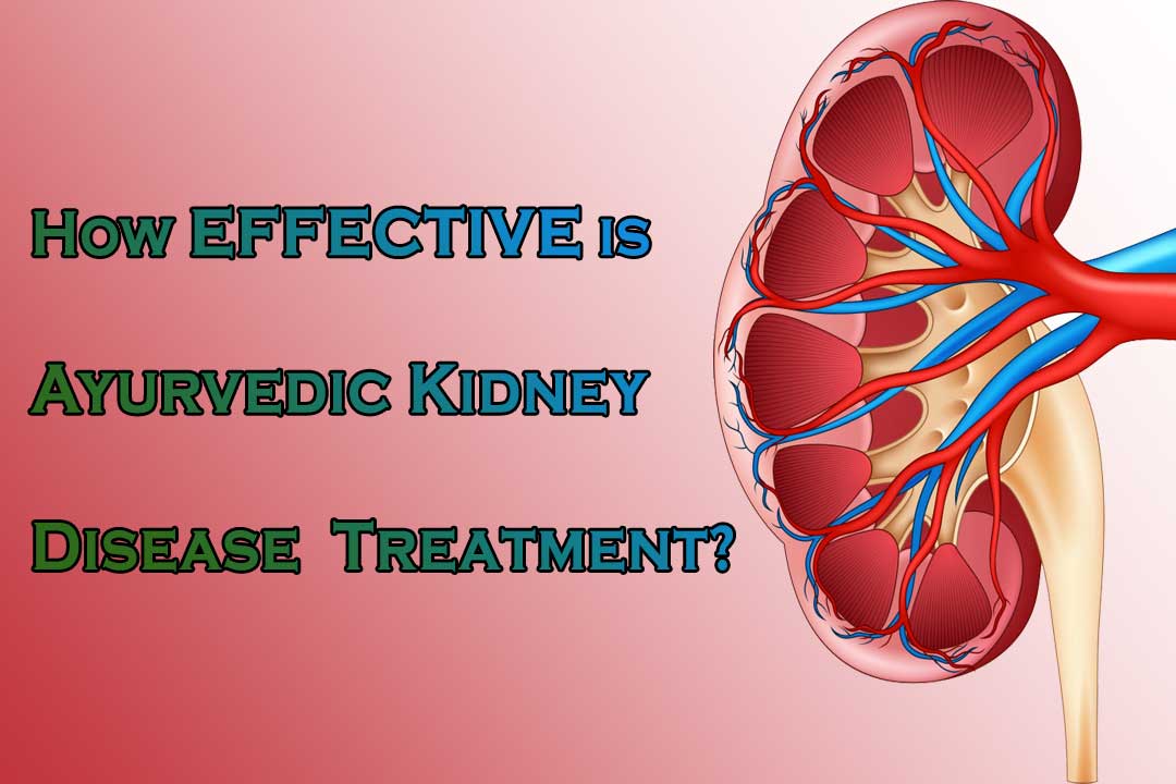 How effective is Ayurvedic Kidney Disease Treatment?