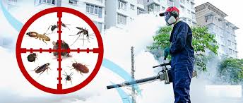 Commercial Pest Control San Antonio