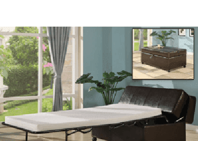 Choose and Order your best fold out Beds