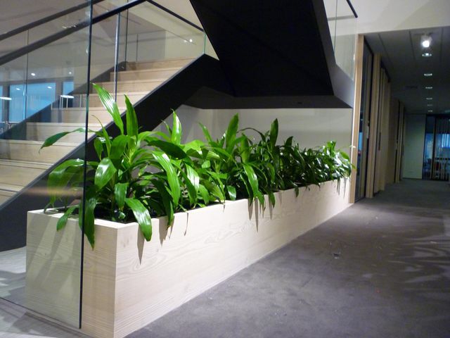 What Are The Services Provided By The Corporate Plant Hire Melbourne?