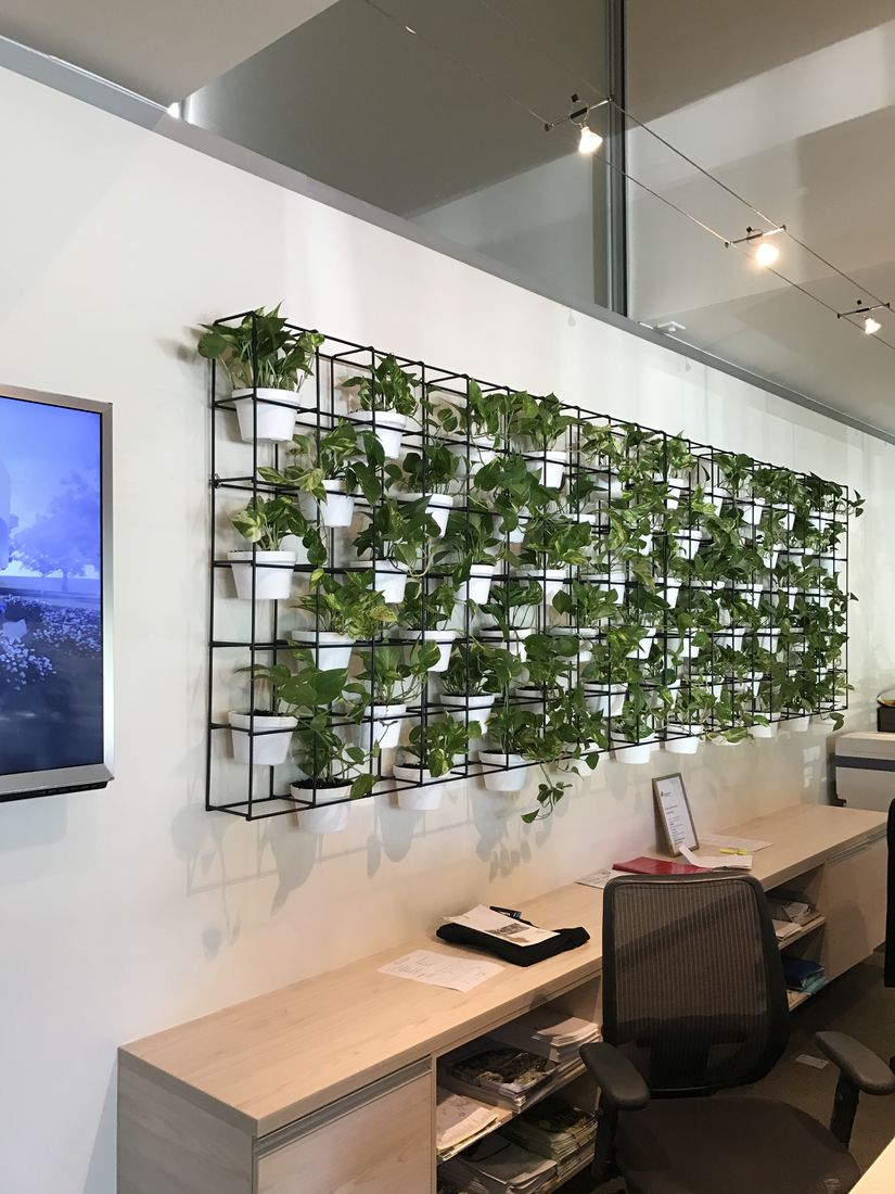 Make the Office a Better Place with Office Plants Melbourne