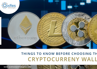 Things to Know Before Choosing the First Cryptocurrency Wallet