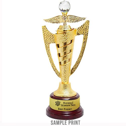 Value of Custom Trophies