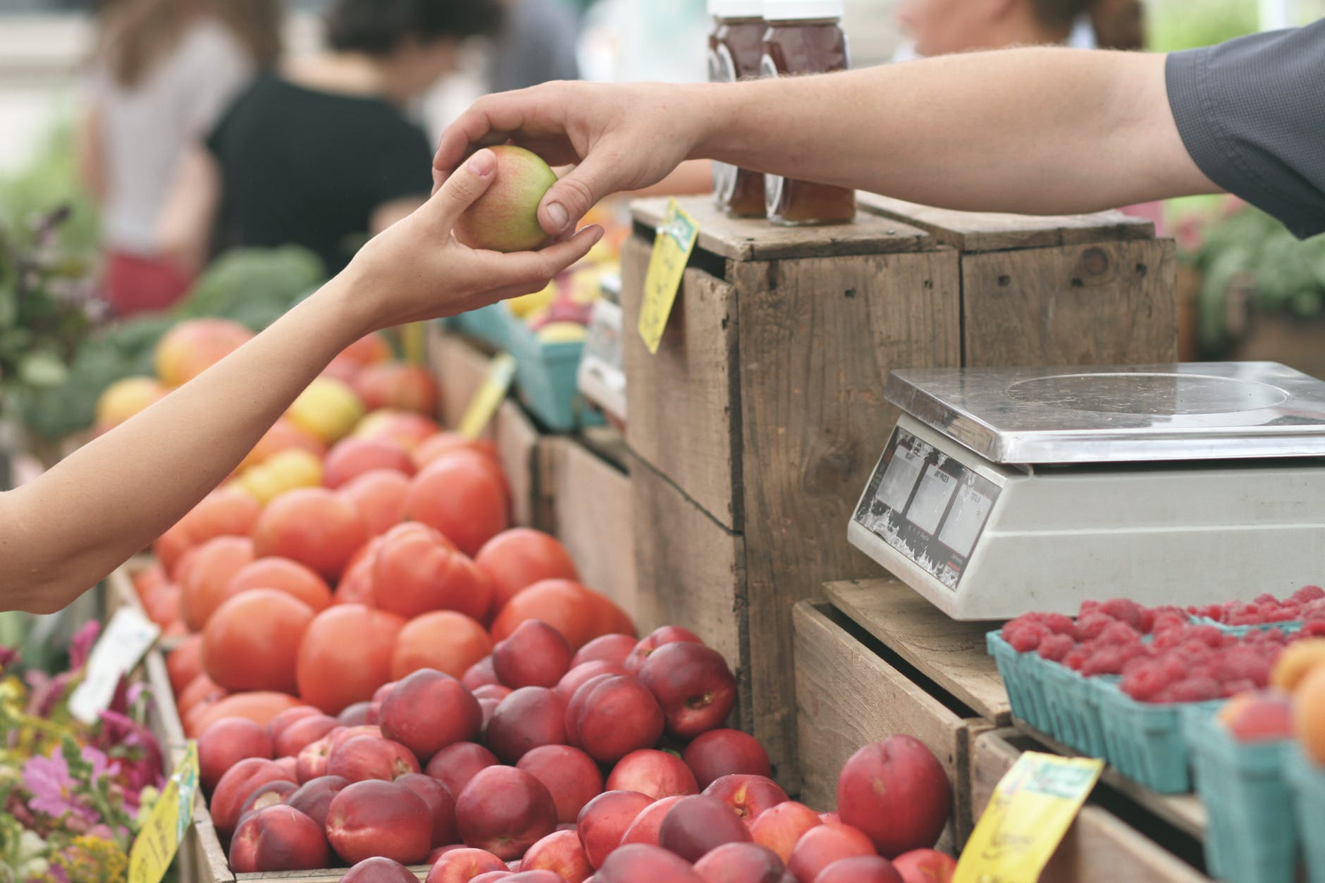 What is the revenue model of Instacart clone app?