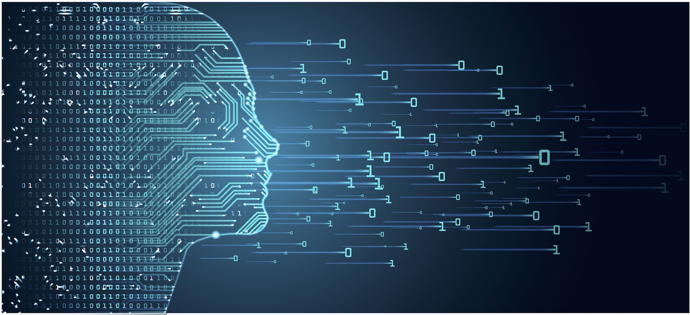 Why 2019 Is the Year of Data Science?