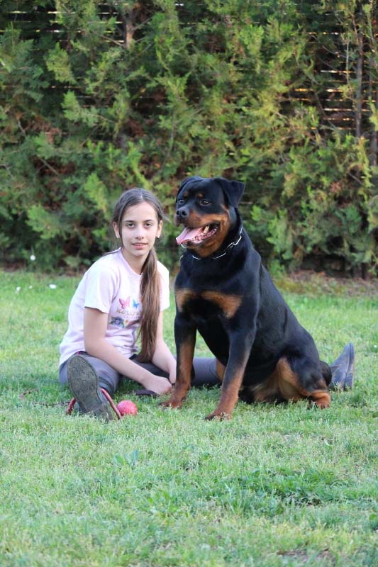 Start accompanying your lazy chunk with your four-legged friend of MRAZOVAC K9