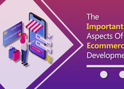 What Are The Important Aspects Of Ecommerce App Development?
