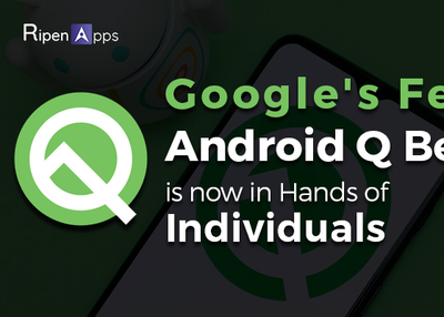 Google’s Feast- Android Q Beta 1 Is Now In the Hands of Individuals