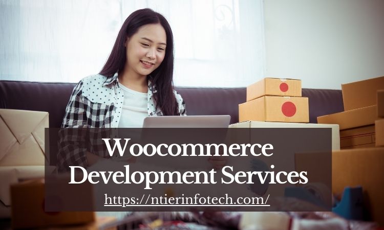 How To Make WordPress Websites Accessible For Users