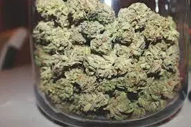 Where to Locate Marijuana For Sale
