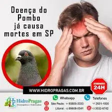 Standby For A Professional Plumber When Using A Chemical Drain Cleaner