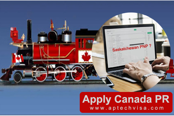 How Many IELTS Band Required for SINP