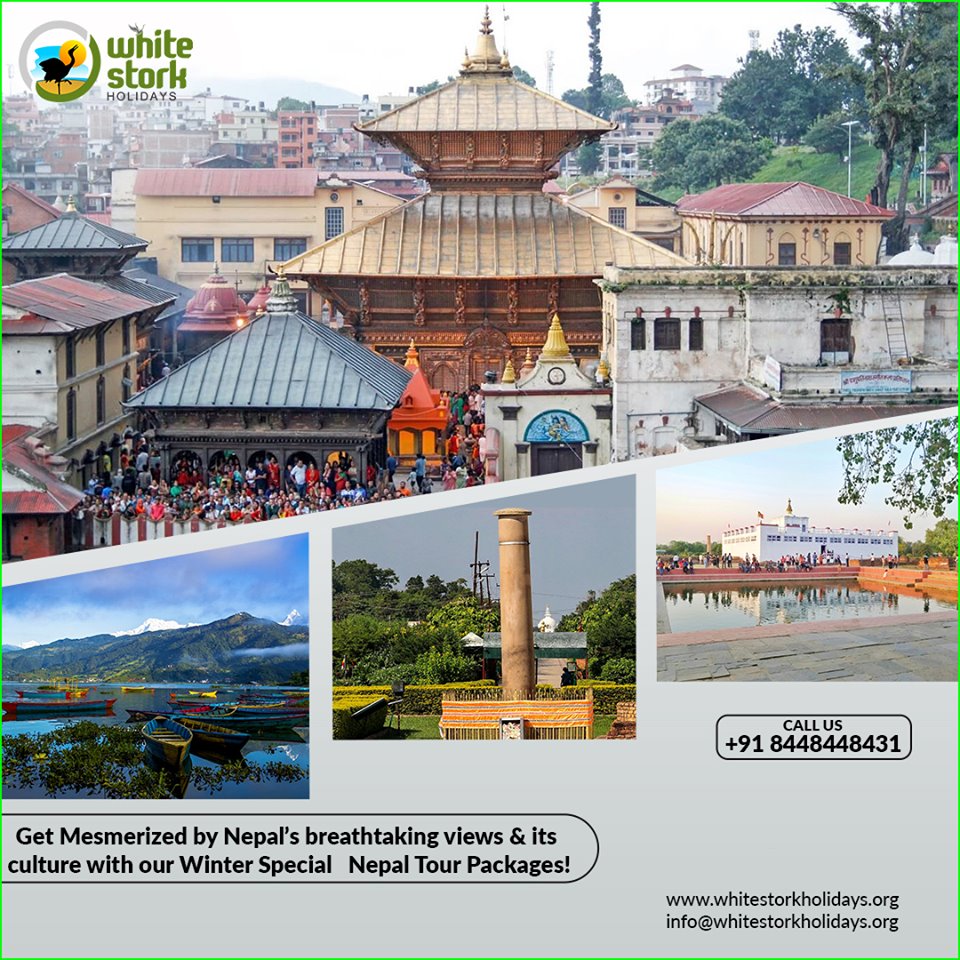 Plan your Darjeeling tour with the best Darjeeling tour package.