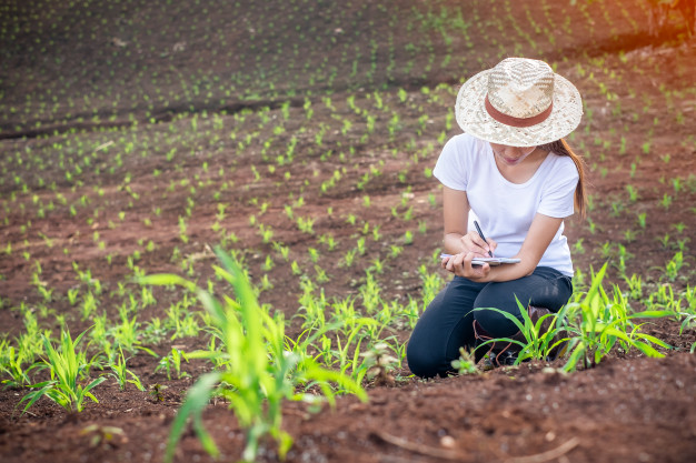 Agronomy Email List | Agronomy Mailing Database | Agronomy Lists