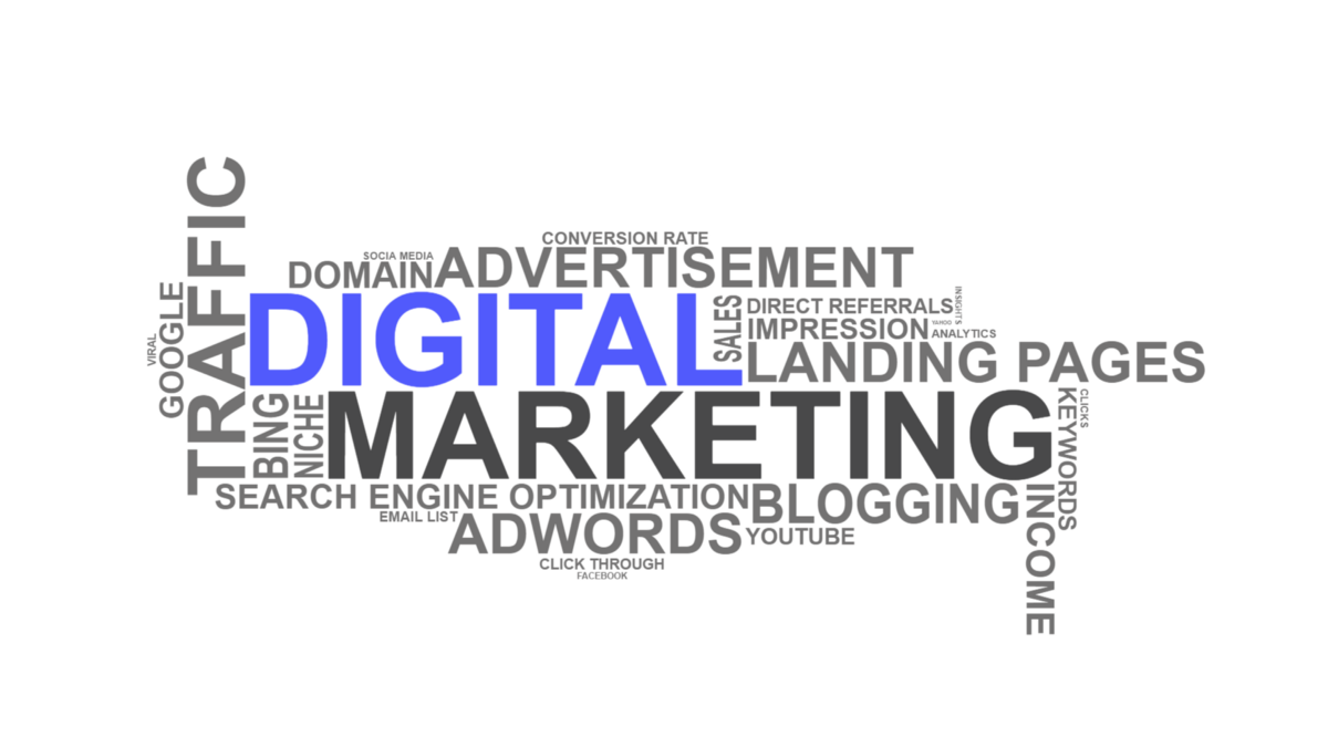 Digital Marketing Services in Noida