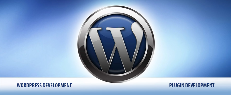 Custom Wordpress plugin development services