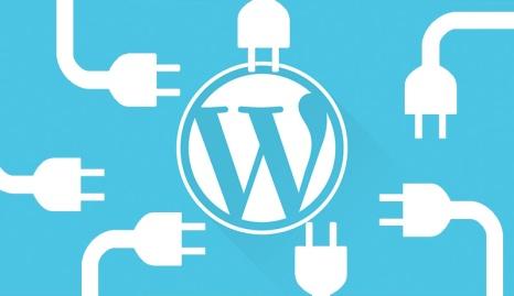Custom Wordpress plugin development company