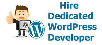 Hire wordpress plugin developer