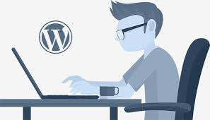 Hire WordPress developer