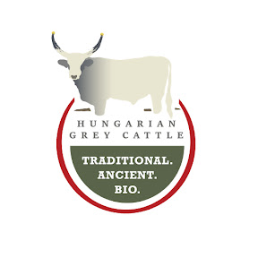 Hungarian Grey Cattle
