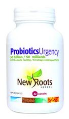 What Are The Importance of Supplements