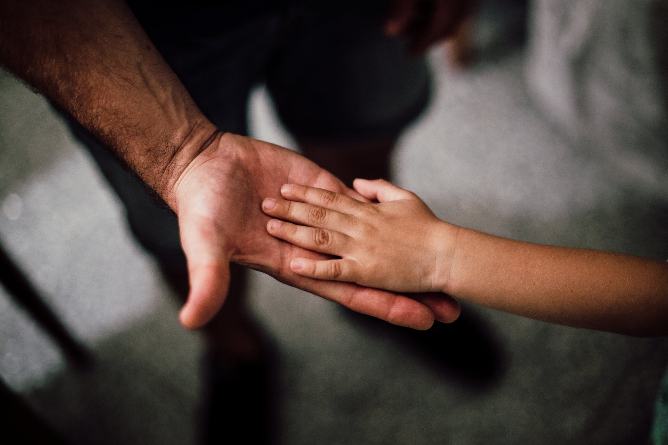 Can Preschool Be the Great Equalizer That K-12 Has Failed to Be? | Paper Pinecone