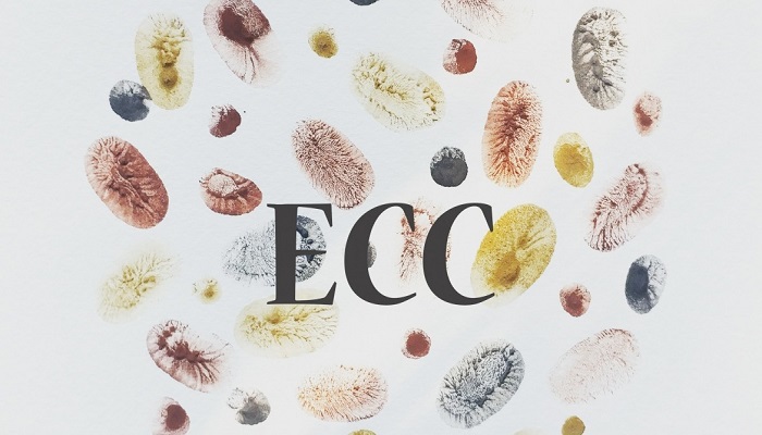 Eugene Childcare Collective in Eugene for School Age | Paper Pinecone