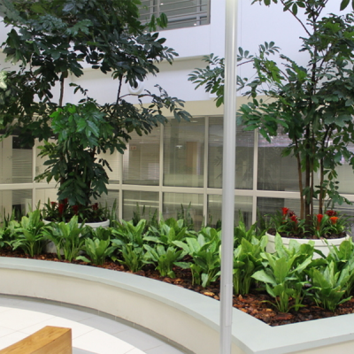 Surprising benefits of growing indoor plants at your home!!!