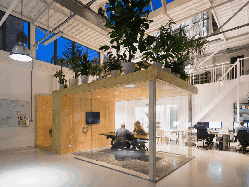 Know about our indoor plant rental services