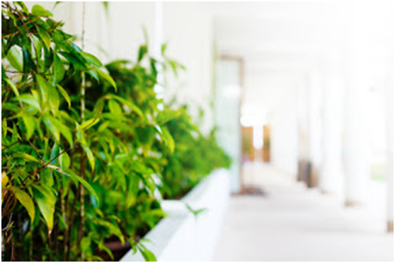 Sustainable Hospitality and Why It Matters