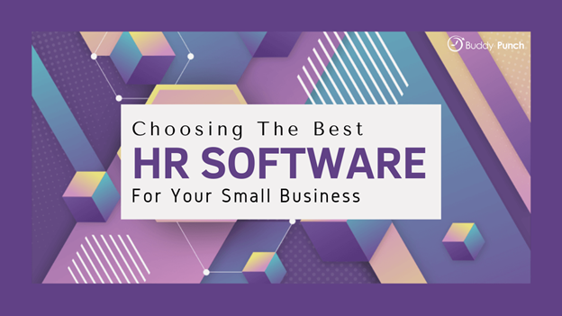 Best HR software for small businesses