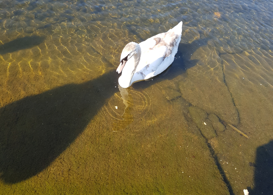 Rational Emotive Behavioural Therapy Brings Long Term Result!