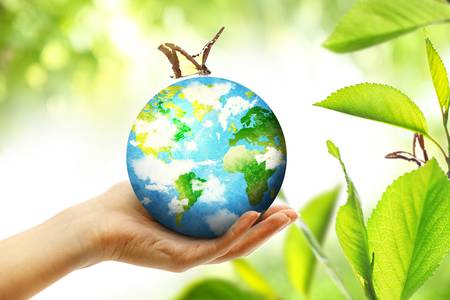 Bioglobe Singapore- How To Make A Choice Of Right Water Filter?