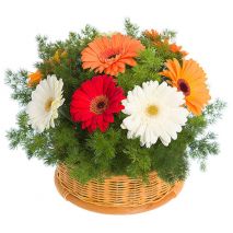 Shower Your Vietnamese Valentine From Afar: Send Gifts To Vietnam This Valentine's Day