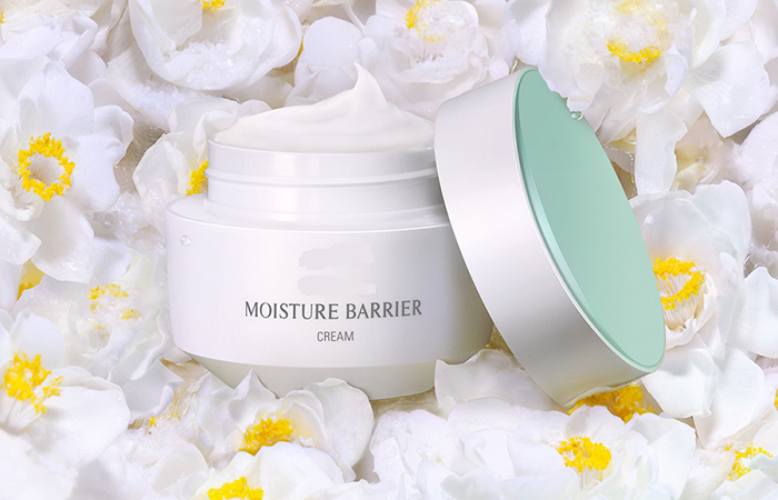 Global Moisture Barrier Market Research Report, Demand, By Application, Region And Forecast To 2026
